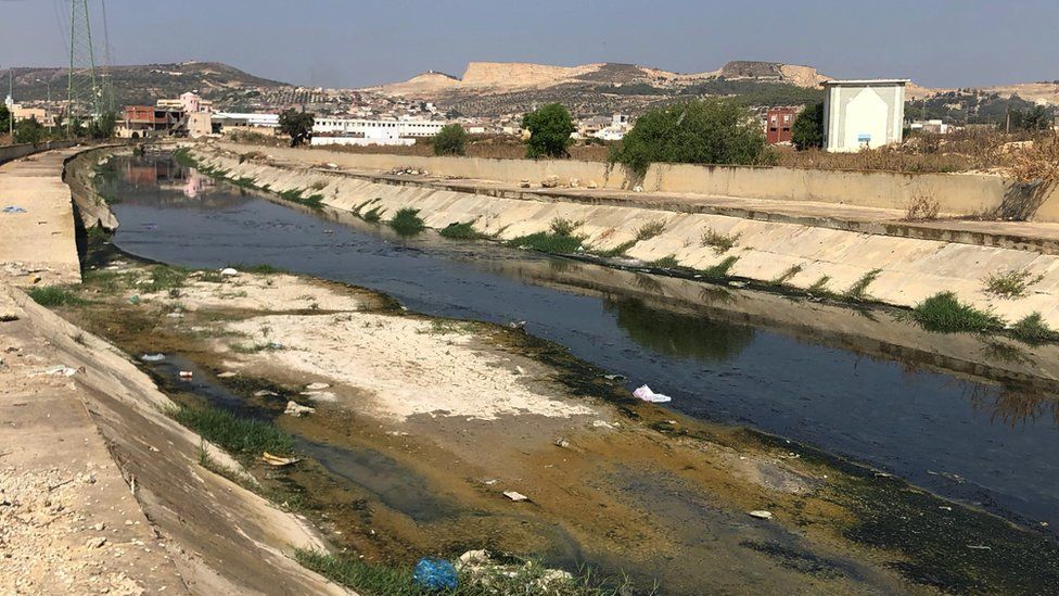 Studie ukazuje, že Modrá řeka v Tunisu má jednu z nejvyšších farmaceutických koncentrací.