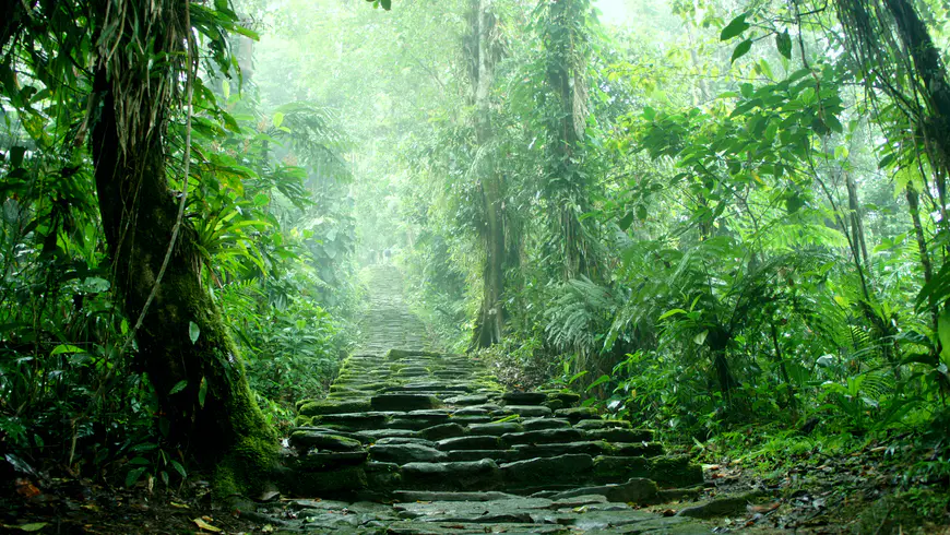 Džungle v Kolumbii