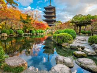 Japonská agentura pro cestovní ruchu zavede zkušební výlety v rámci celé země. Znovu se tak pokusí o nastartování cestovního ruchu