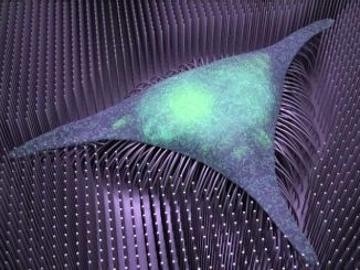 Vědci z King Abdullah University of Science & Technology (KAUST) vyvinuli nanotechnologii, která pomáhá regenerativní medicíně