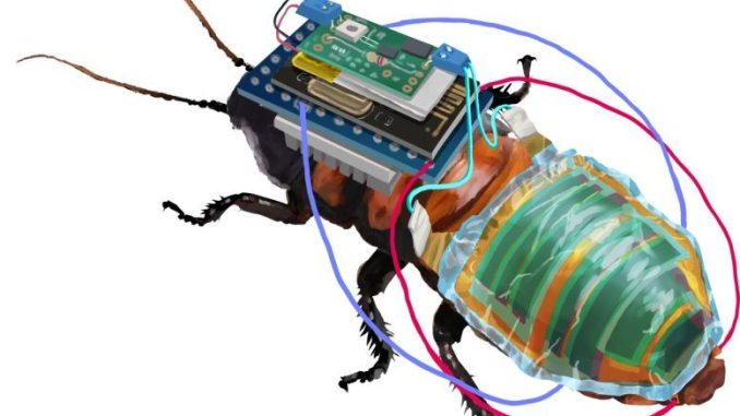 Vědci v Japonsku zkonstruovali systém pro vytváření dálkově ovládaných švábů, kteří mají bezdrátový řídicí modul napájený dobíjecí baterií
