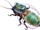 Vědci v Japonsku zkonstruovali systém pro vytváření dálkově ovládaných švábů, kteří mají bezdrátový řídicí modul napájený dobíjecí baterií
