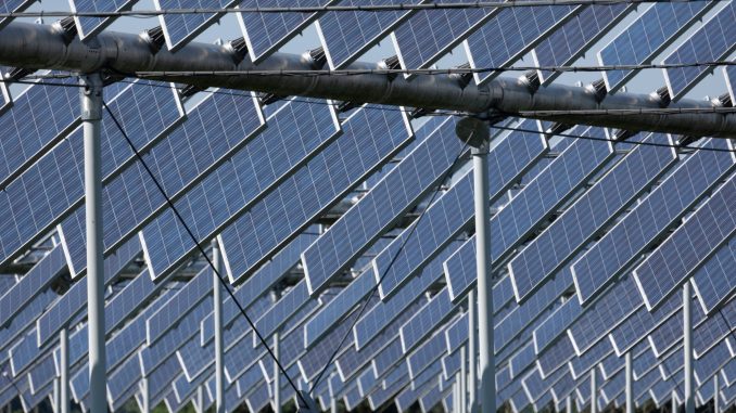 Američtí vědci zjistili, že použití poloprůhledných fotovoltaických modulů se selektivní vlnovou délkou může zvýšit výnosy plodin
