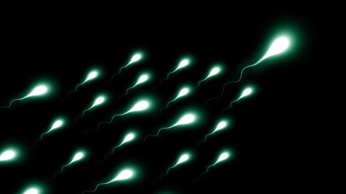 25 nových studií provedených v průběhu 50 let ukázal silnou souvislost mezi pesticidy a nižší koncentrací spermií