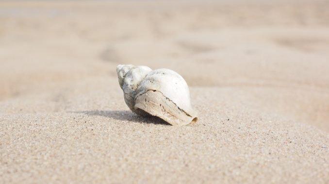 Letos policisté na Sardinii přistihli několik turistů při pašování písku, kamenů. Za krádeže písku z pláží můžete zaplatit velkou pokutu