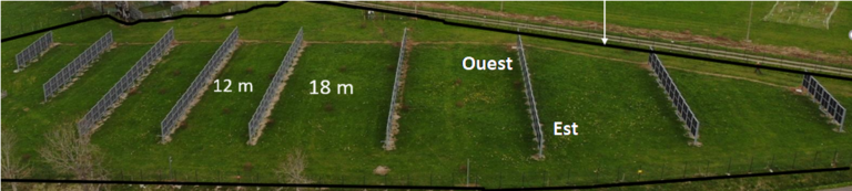 Francouzská energetická společnost Engie uvedla, že její 100 kW agrovoltaické zařízení spojené s chovem krav ve francouzském regionu Puy-de-Dôme nezměnilo fungování luk a chování zvířat.